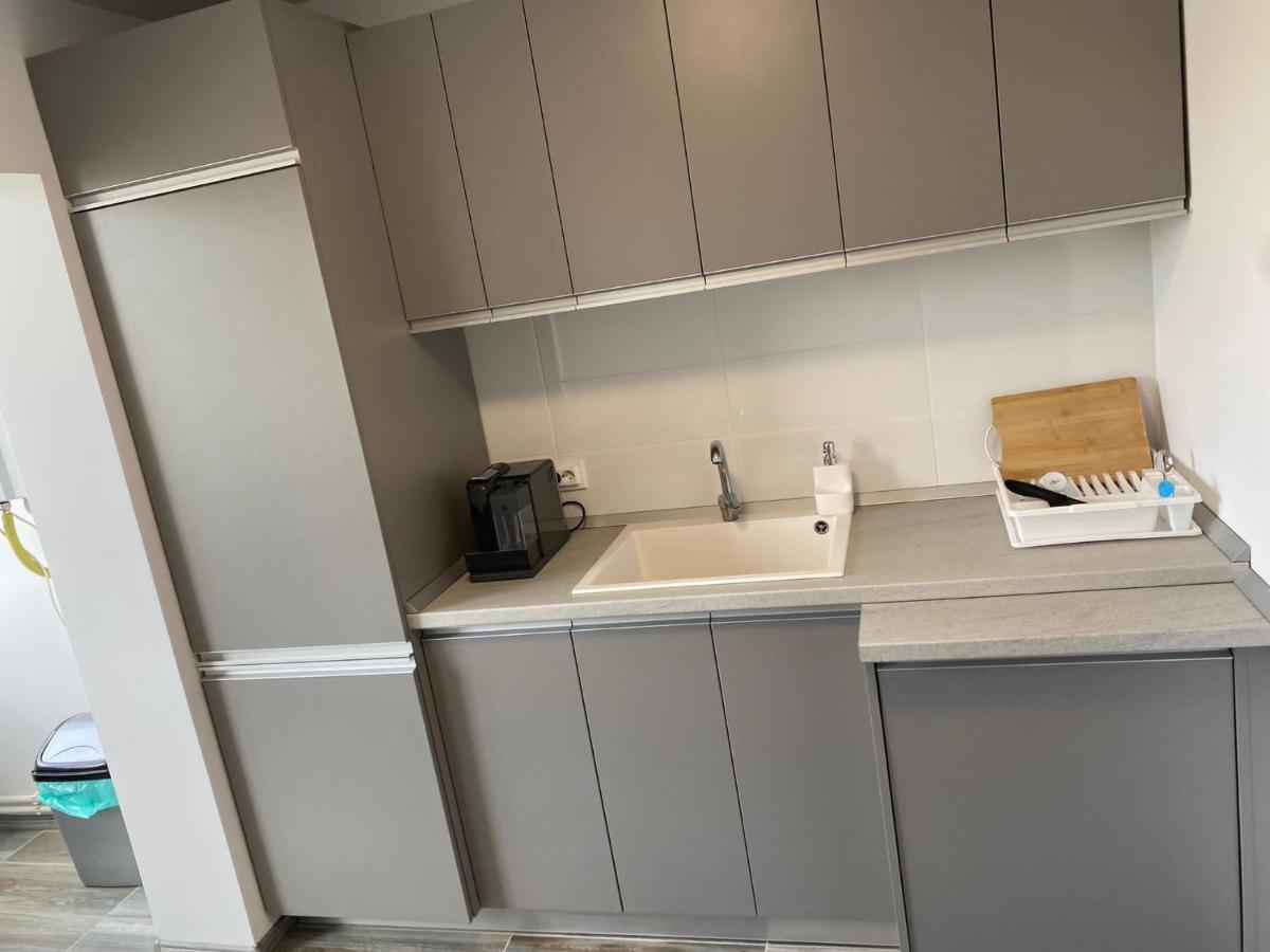 Alesandru Apartament Piteşti Eksteriør billede