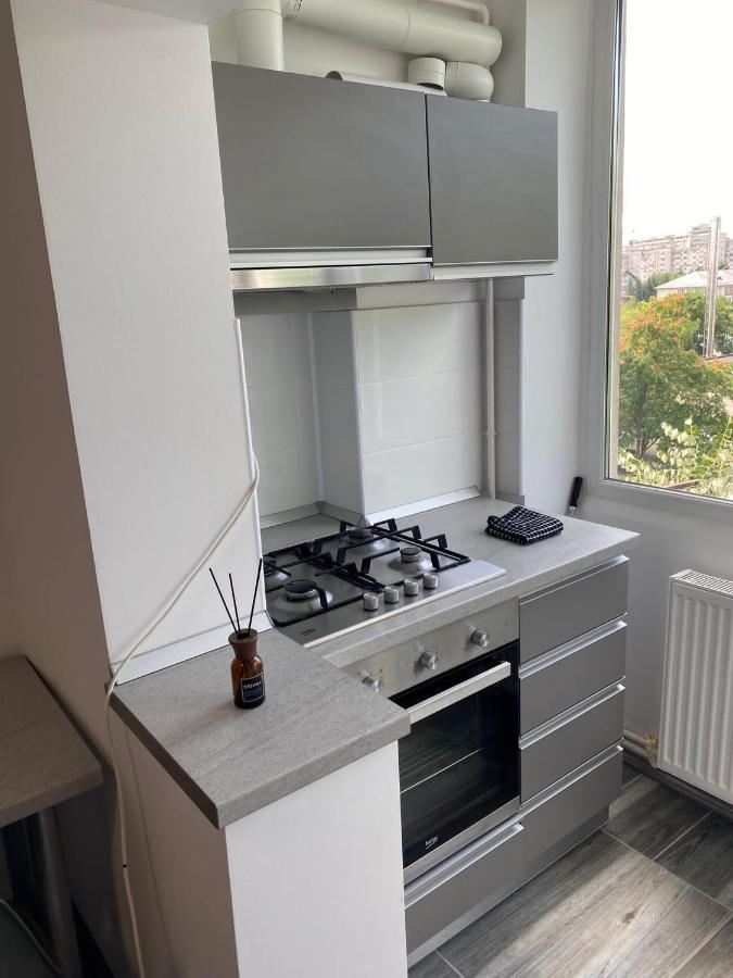 Alesandru Apartament Piteşti Eksteriør billede